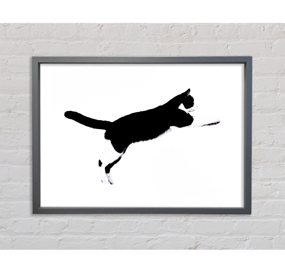 Gerahmtes Bild Jumping Cat