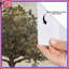 Tree With Roots Shower Curtains Extra Long-112537679