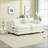 Zuri Chenille Fabric Upholstered 2-Seater Sectional Sofa with Ottomans-796484352