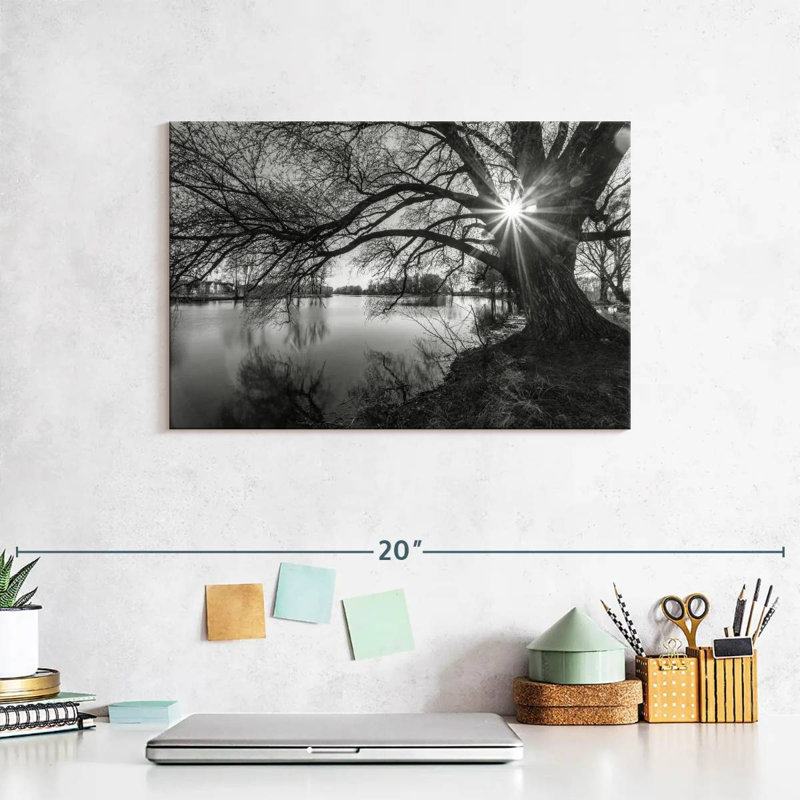 Harnek Sunlight Through Tree, 8" H x 12" W
