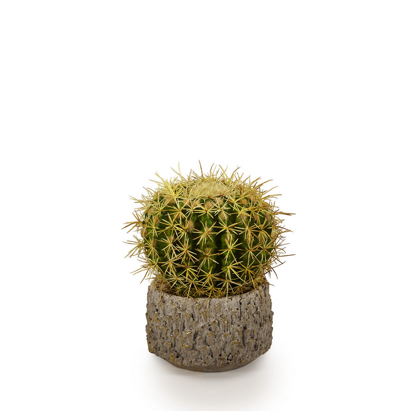 Faux Cactus Succulent in Clay Pot