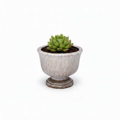 Sereia Pedestal Ceramic Planter with Layered Glaze