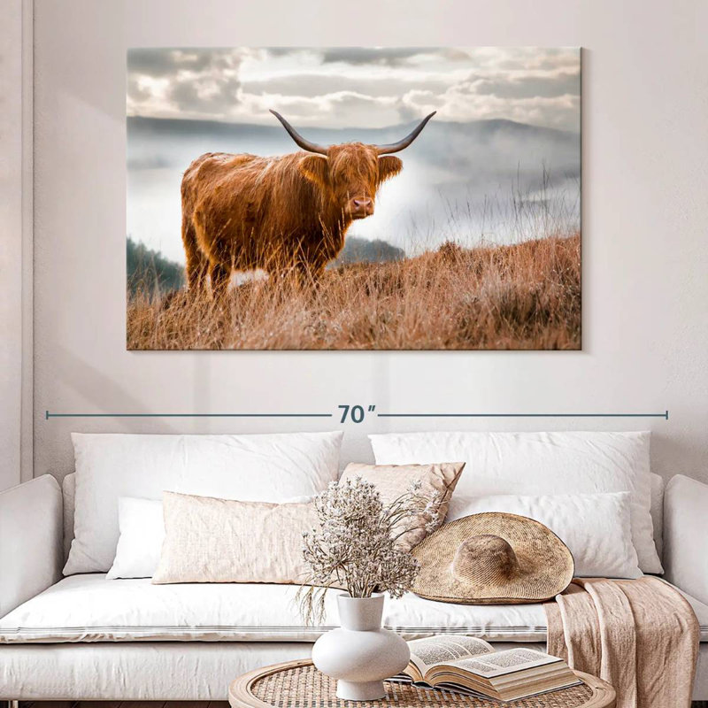 Highland Cow In Scotland, 34" H x 51" W
