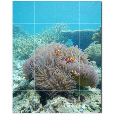 Murale en céramique satinée Coral Photo 4,25 po x 4,25 po