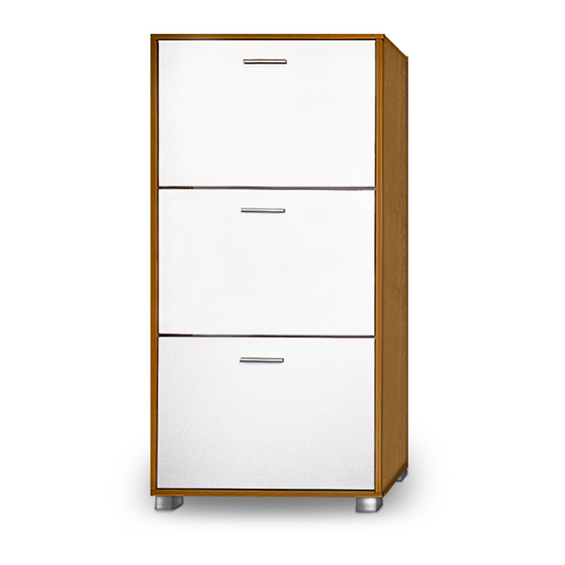 Shoe Cabinet