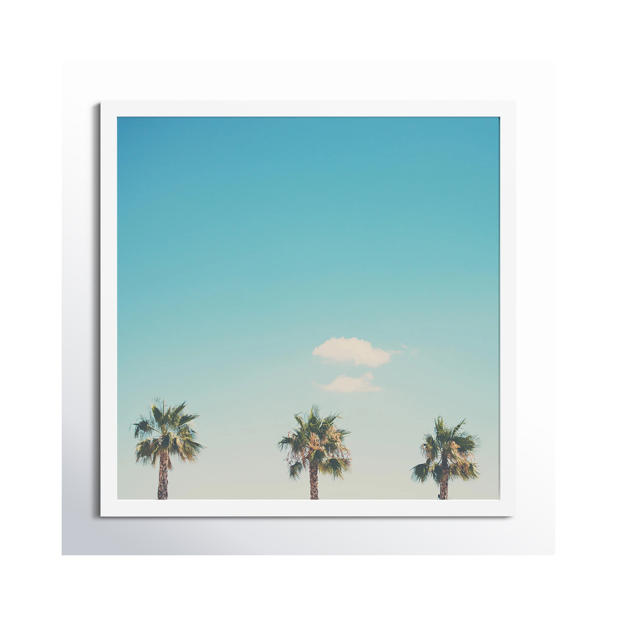 A Trio Of Palm Trees by Laura Evans, 40.38" H x 40.38" W x 0.875" D, White Framed