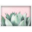 Abdirazaq Sweet Succulents - impression sur papier-820391090-811340879