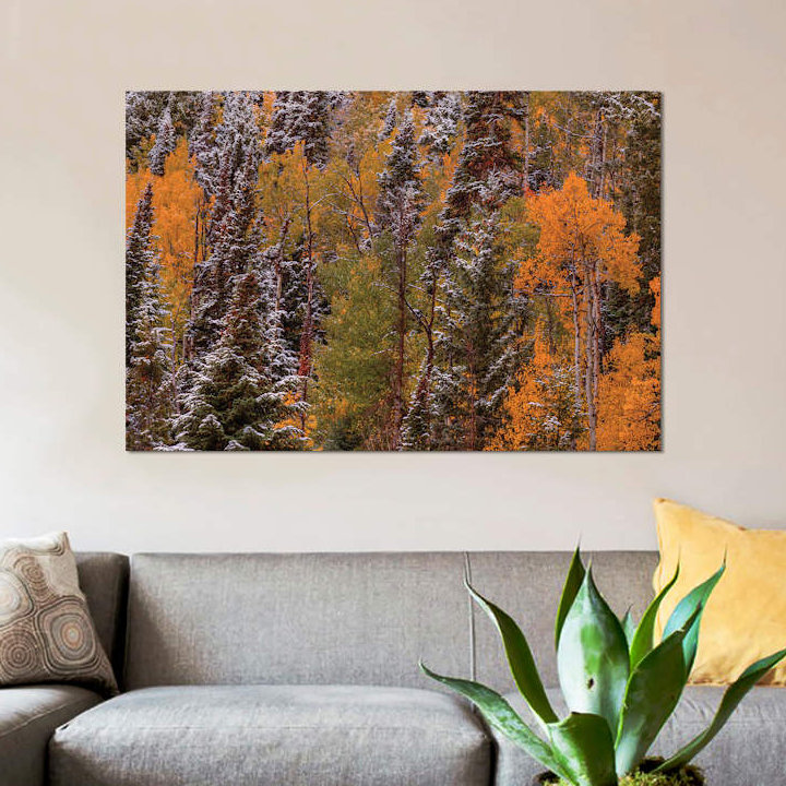 « contrasts » par bill sherrell, reproduction d’impression sur toile tendue, H 8 po x l 12 po x P 0,75 po, Toile tendue