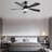 (Same As W882P146310) 52 Inch Modern Ceiling Fan With 3 Color Dimmable 5 ABS Blades Remote Control Reversible DC Motor With Led Light-753602470