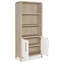 Brixton Bookcase