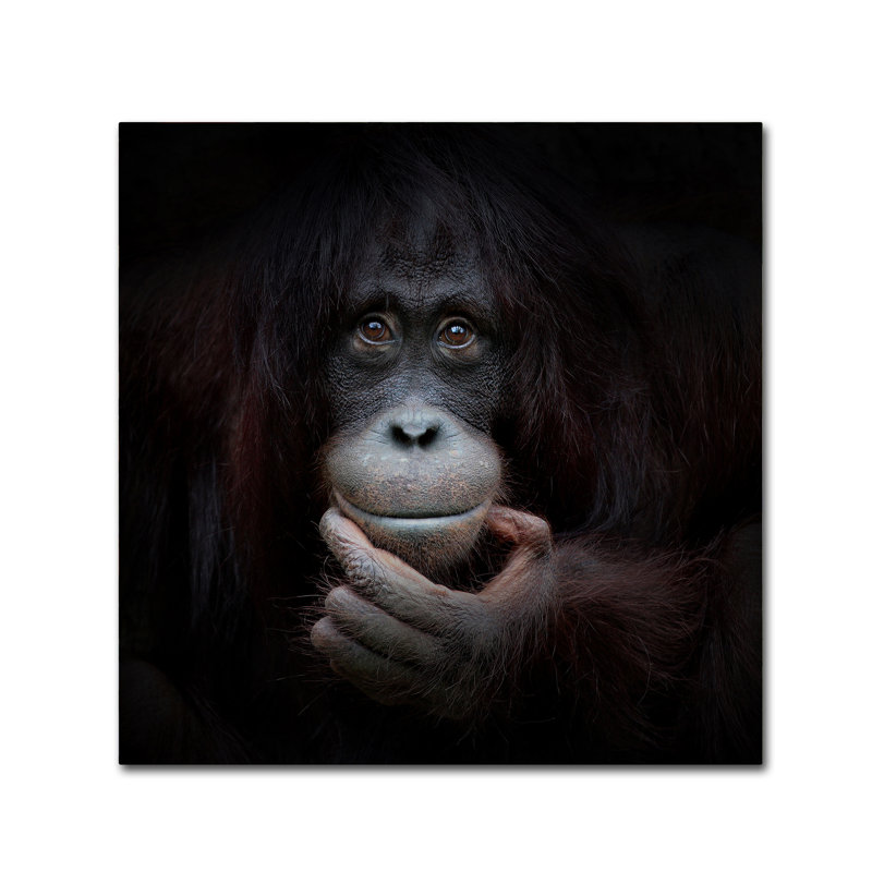 « the mirror image », reproduction de photo sur toile tendue, H 18 po x l 18 po