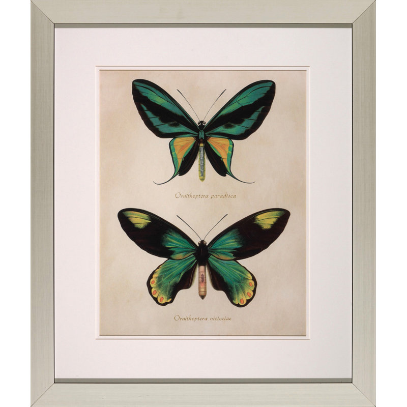 Bejeweled Butterfly I Print