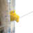 Yellow selected