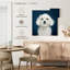 Maltais blanc Brampt-109373497