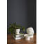 Canella Ceramic Pot Planter