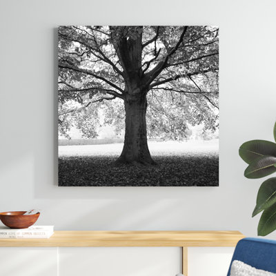 Woodland Tones III par Martin Henson - Photographie sur toile tendue