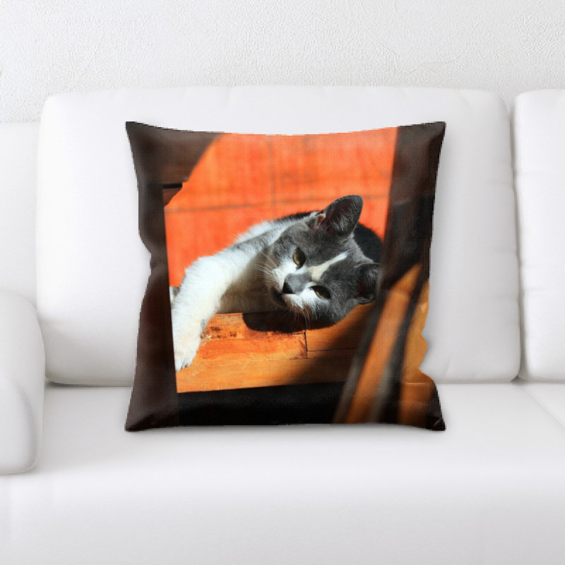 Coussin pour chat