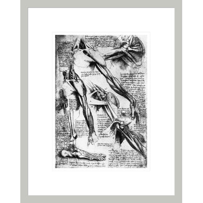 Dessin des études sur les bras, les mains et les pieds par Leonardo Da Vinci, impression giclée sur cadre
