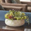 PLANT 14IN Round Succulent Arrangement, Natural Pot-80285221