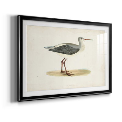 Morris Sandpipers I " Morris Sandpipers I "