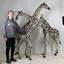 Giraffe Bronze Garden Statue-51173952
