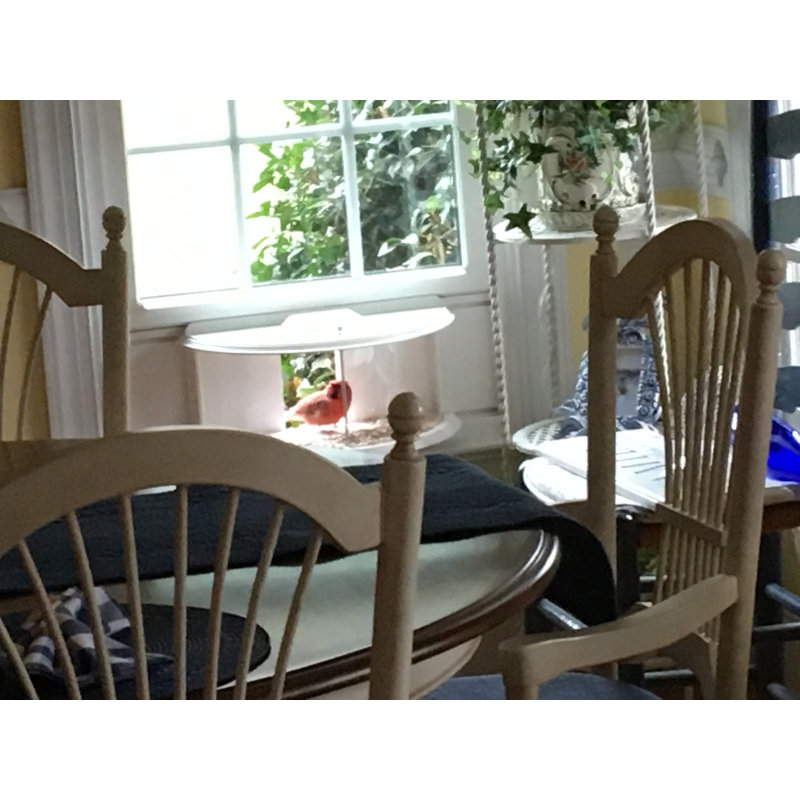 Krick Window Tray Bird Feeder