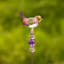 Willetton Birds Garden Stake