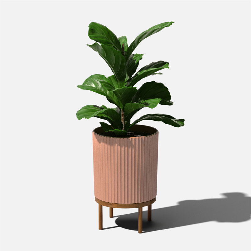 Terracotta Large Round Planter with Acacia Wood Stand