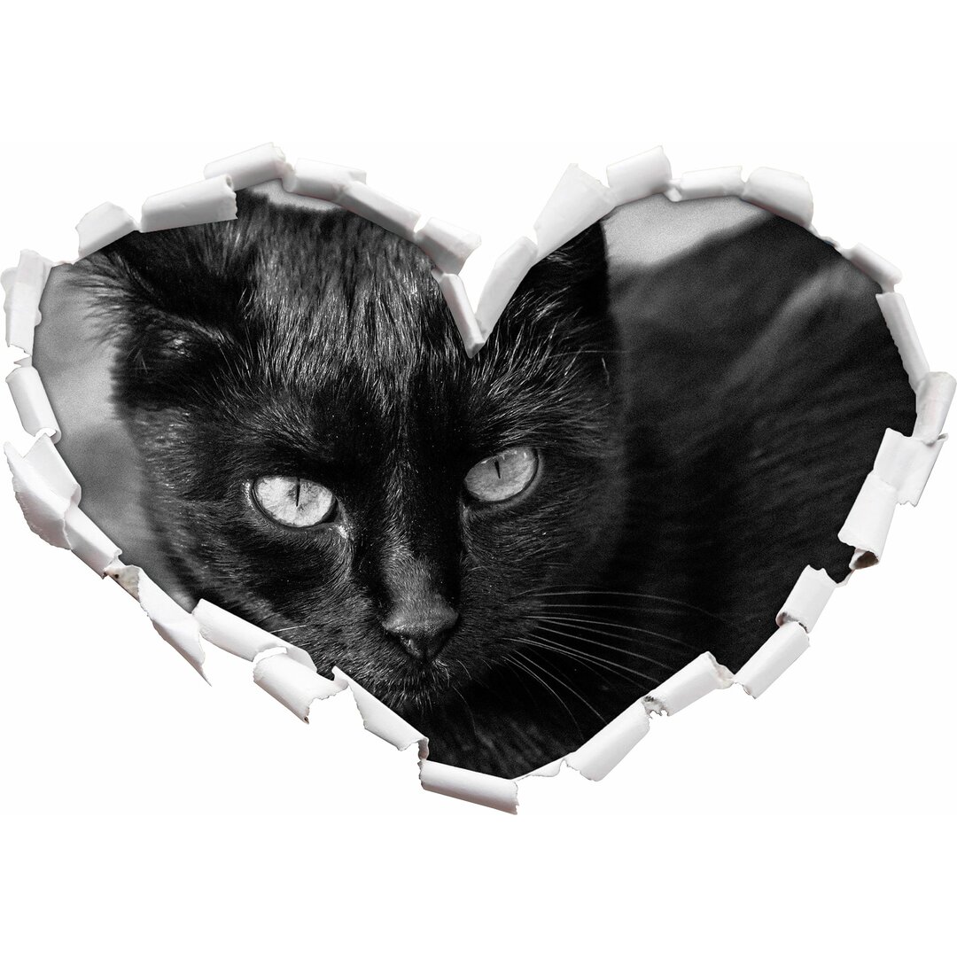 Wandtattoo Schwarze Katze