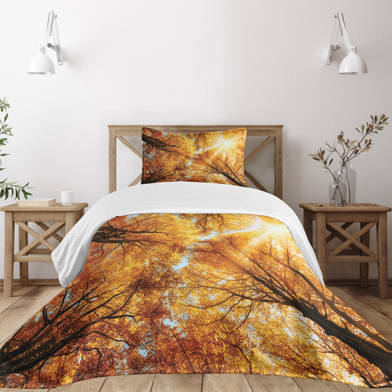 Autumn Sunbeams Forest Twin Bedspread Set in Brown Polyester
