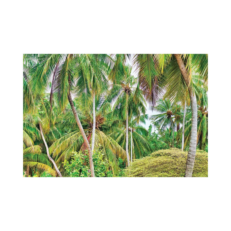Palm Paradise by Mark Paulda - Print on Canvas, Wrapped Canvas, 20.32cm H x 30.48cm W x 1.91cm D