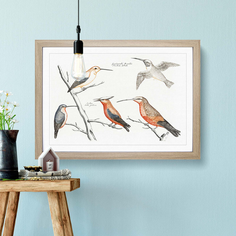 Five Hummingbirds by Johan Teyler - Picture Frame Art Print, Oak Framed, 36cm H x 48cm W x 2cm D
