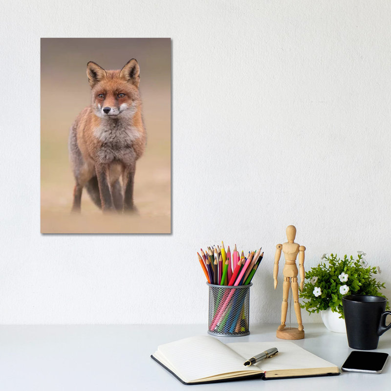 Red Fox in Field I 1 Piece Wrapped Canvas Wall Art, 20.32 cm H x 30.48 cm W