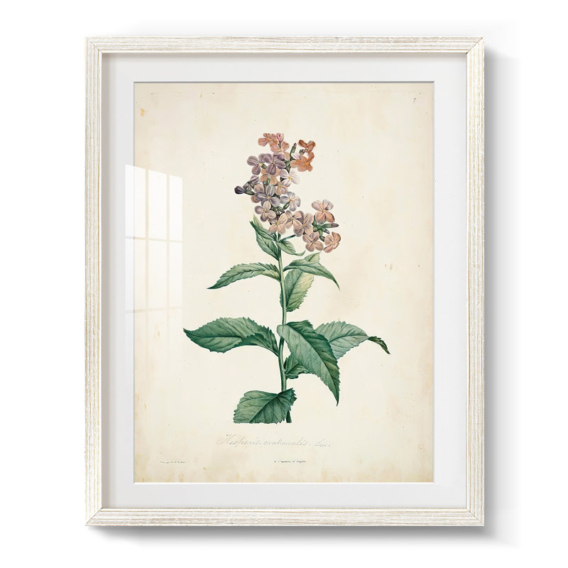 Wilfrid - toile tendue avec châssis, H 28,5 po x l 20,5 po, Blanc