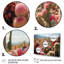 Cactus vert et rose II - impression-1478495261-1478495336