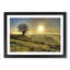 Landscape Lone Tree Sunrise Framed Print-18868439
