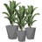 Kise Pot Planter-323524642-322665829