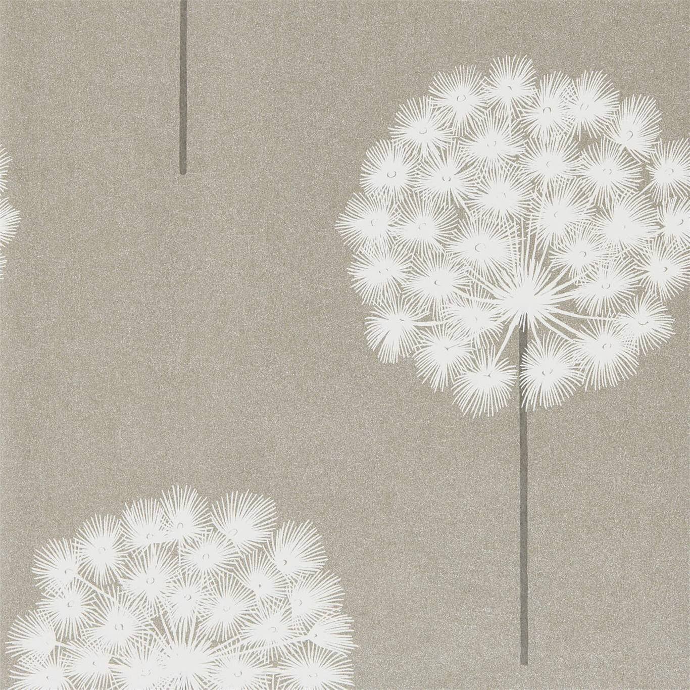 Wallpaper Amity Large Scale White Dandelion on Rose Gold Lustre , 56 Sq Ft  Bolt | eBay