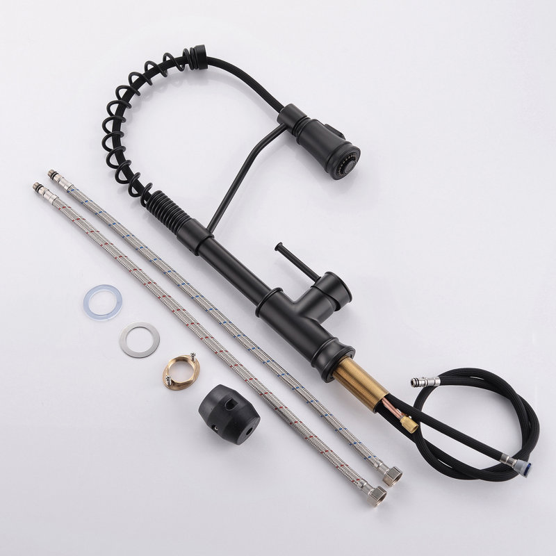 Robinet de cuisine avec douchette extractible et robinets d'évier de cuisine à poignée simple en acier inoxydable noir