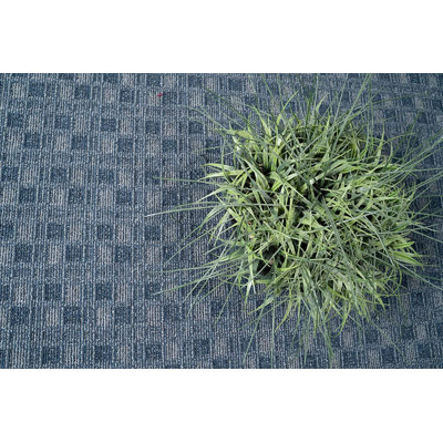 Ensemble de tapis intérieur / extérieur en polyester touffeté à la machine Ladashia