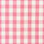 Camden Cotton Check Fabric-45639428