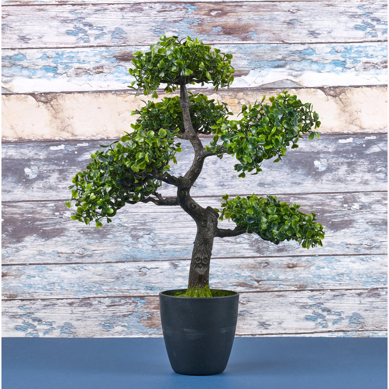 49cm Faux Bonsai Plant in Planter