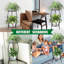 Plant Stand