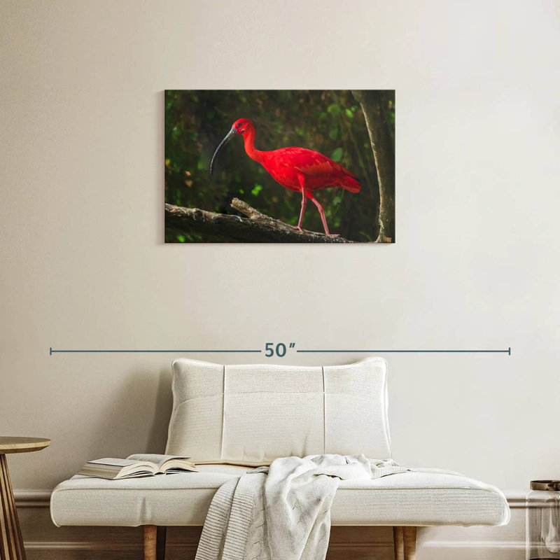 Oiseau rouge Brampt, H 20 po x l 30 po