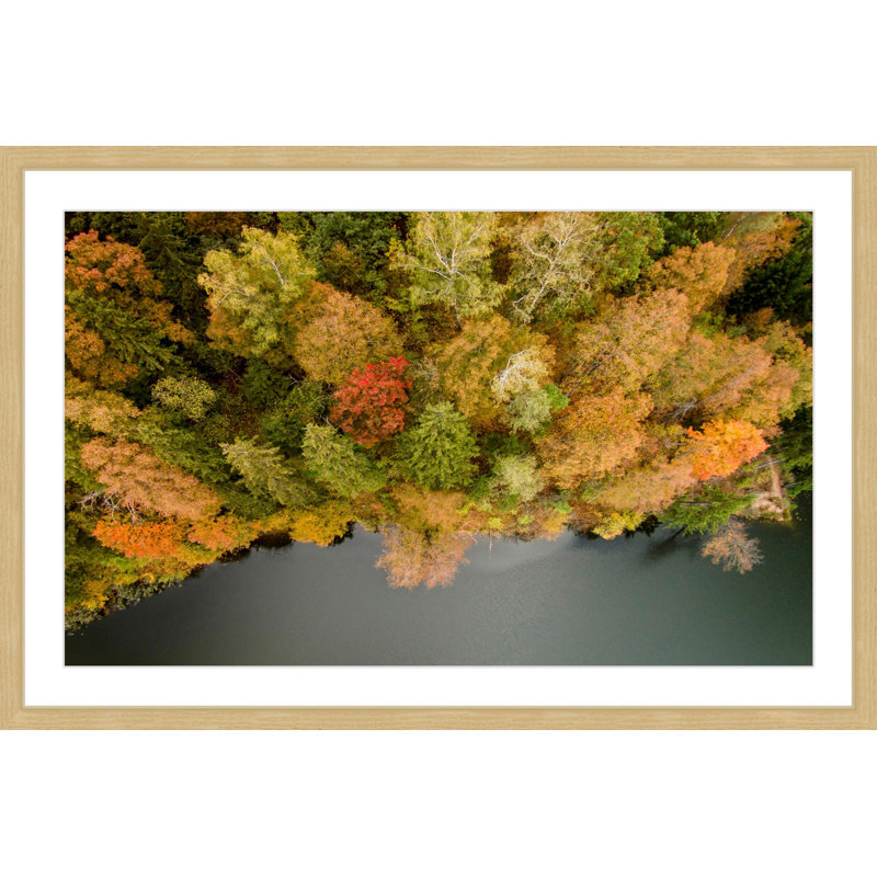 Single Picture Frame Print, 61 cm H x 91 cm W x 3.81 cm D