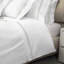 Platinum Flat Sheet-36504299-36504301