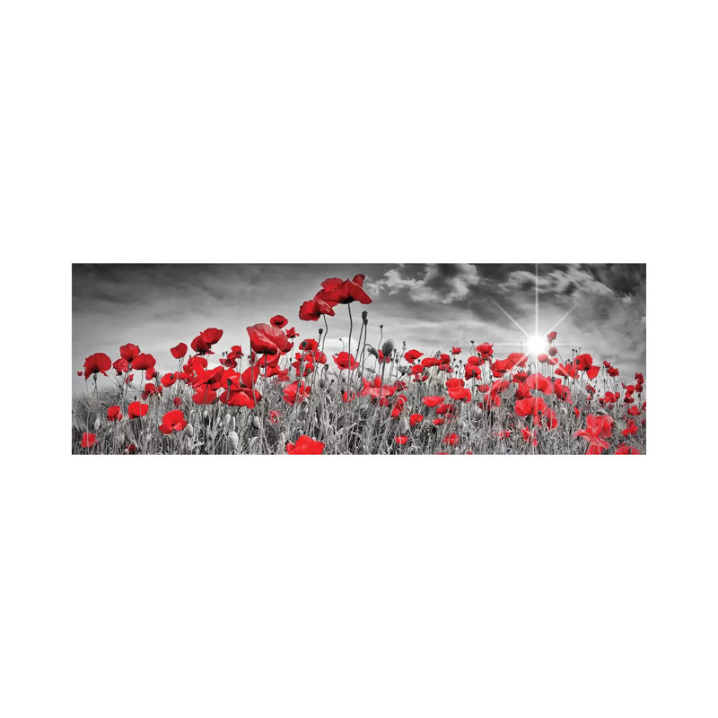 " Idyllic Field Of Poppies With Sun | Panorama " by Melanie Viola, Wrapped Canvas, 16" H x 48" W x 1.5" D