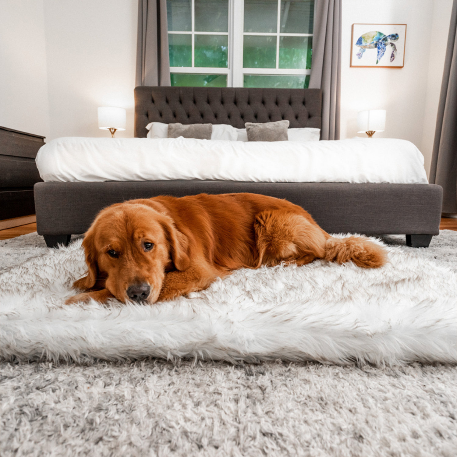 Powhattan Puprug Runner Faux Fur Memory Foam Dog Mat