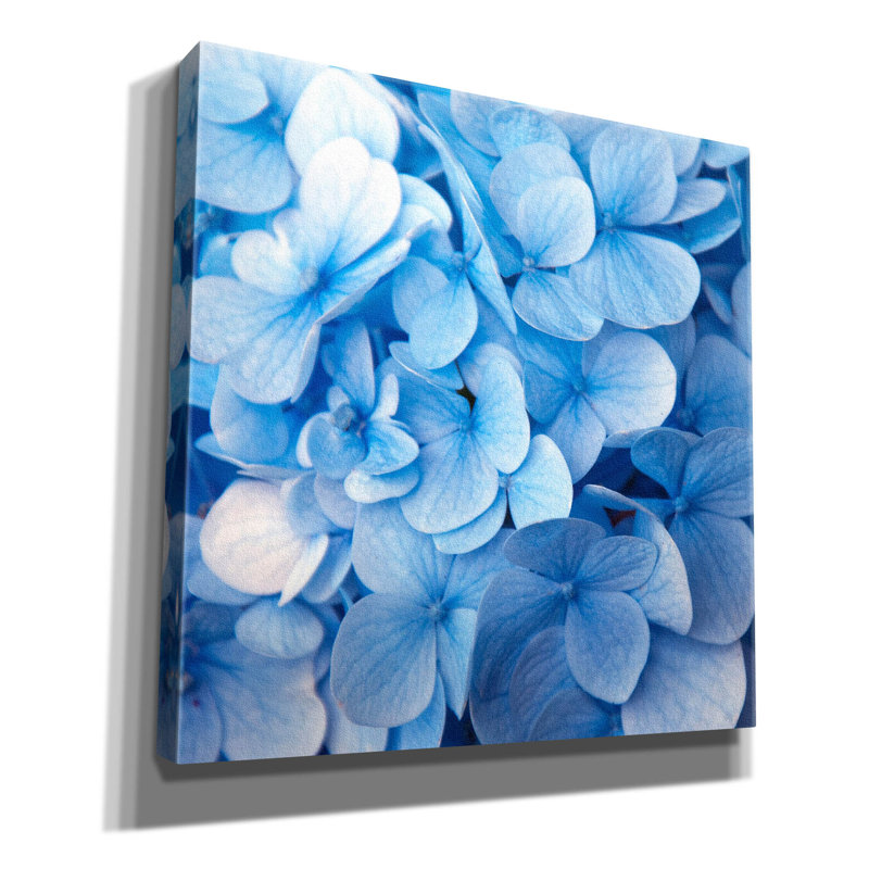 «Fleurs bleues» par Photoinc Studio, art mural sur toile, 26 po x 26 po, H 12 po x l 12 po x P 0,75 po