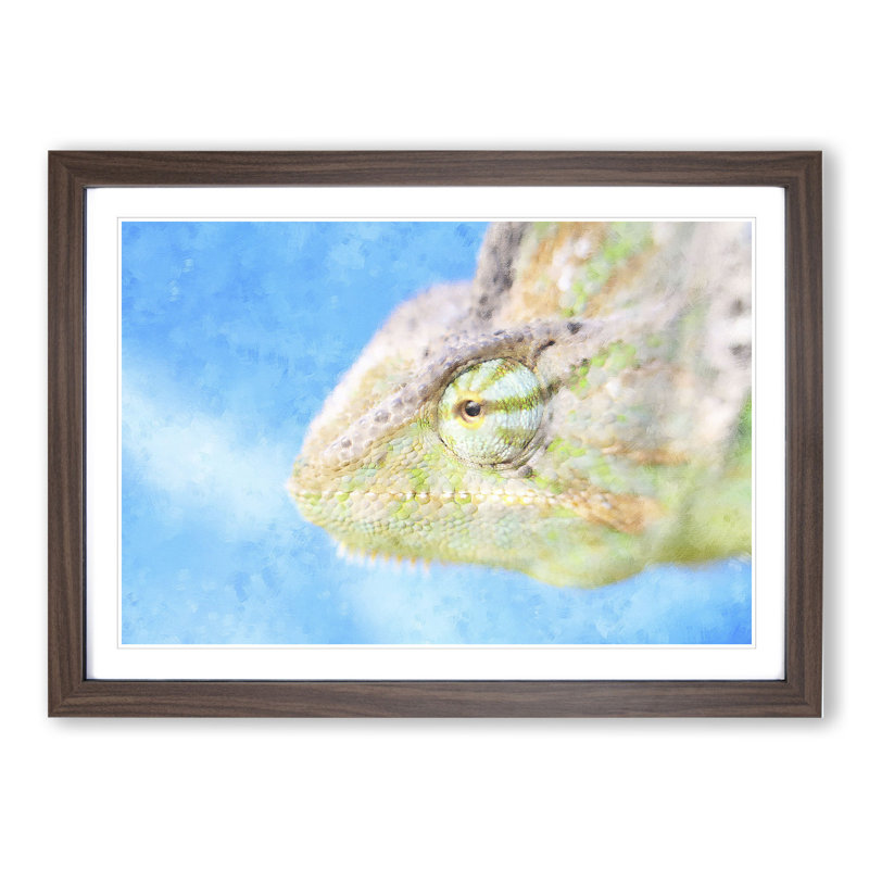 Chameleon Lizard Vol.4 - Framed Print, 48cm H x 65cm W x 2cm D, Walnut Framed